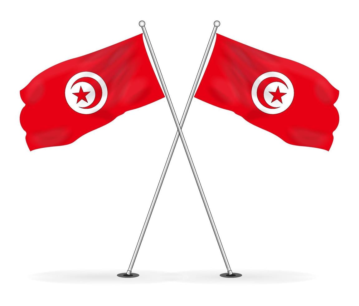 Bundle of Tunisian national flag vector image