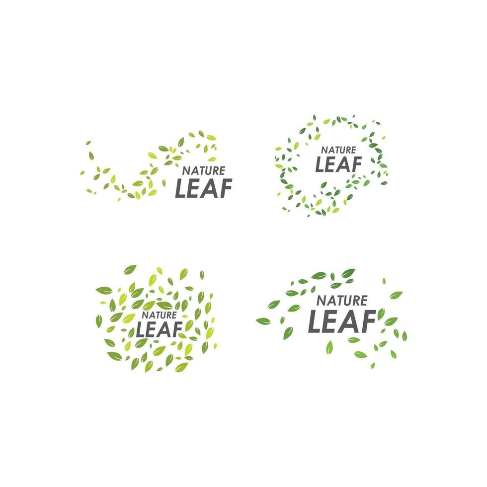 Set of Leaves fall vector