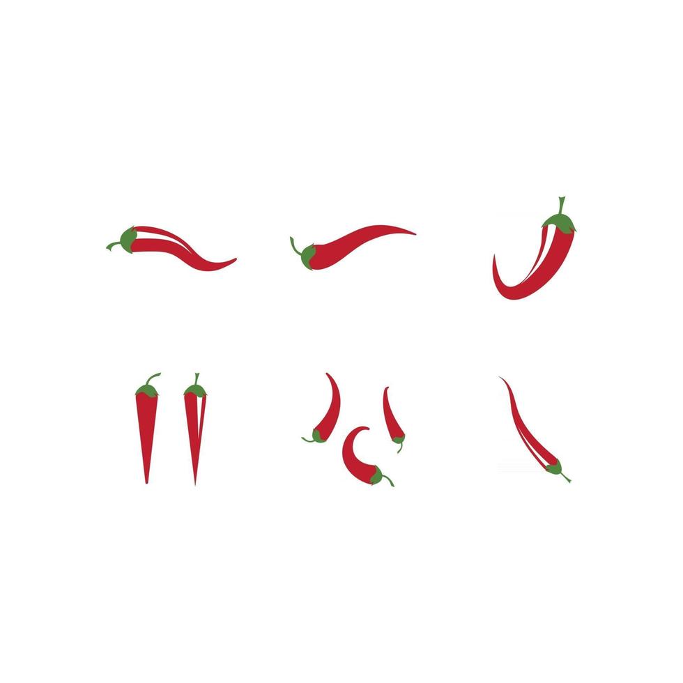 Set of Red Chili vector
