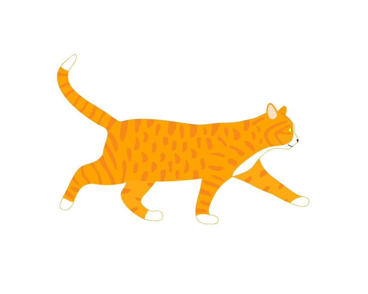 Walking ginger cat isolated on white backround. Cute cartoon cat profile vector