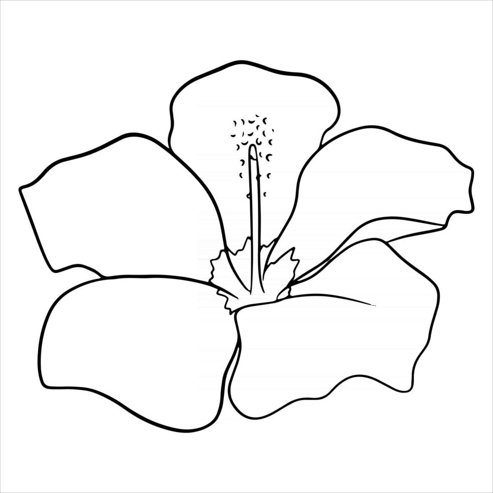 Tropical plant bright flower in line style for coloring book vector