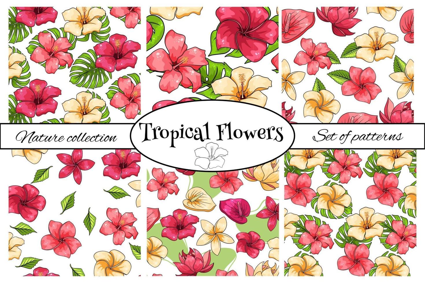 Tropical pattern with exotic plants flowers and leaves in cartoon style vector