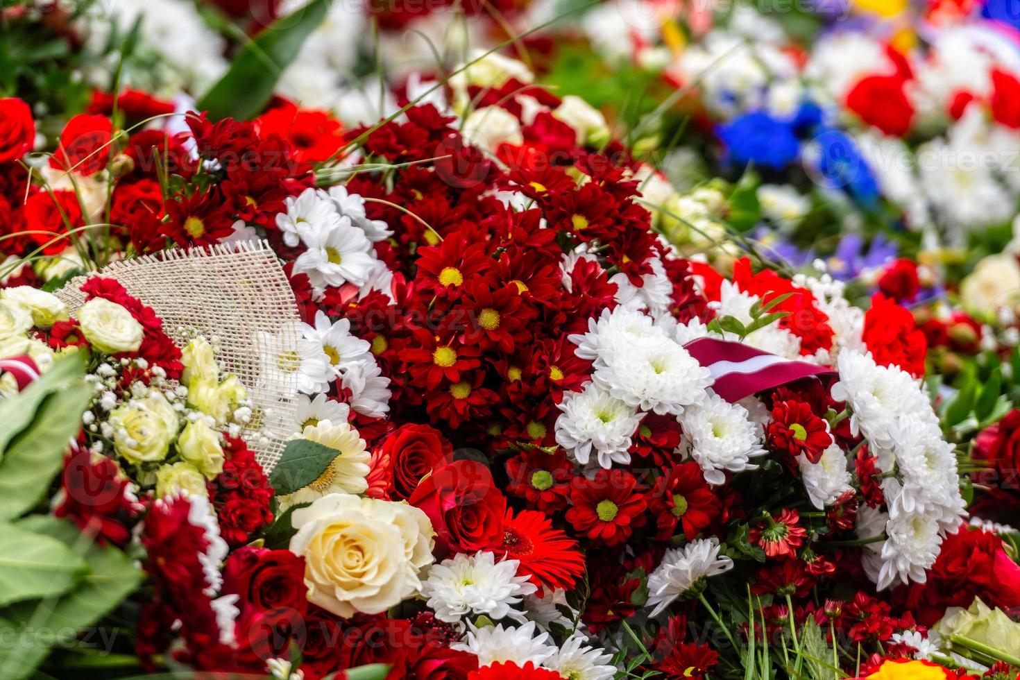 ramo de flores con bandera de Letonia. día de la independencia de letonia - imagen foto