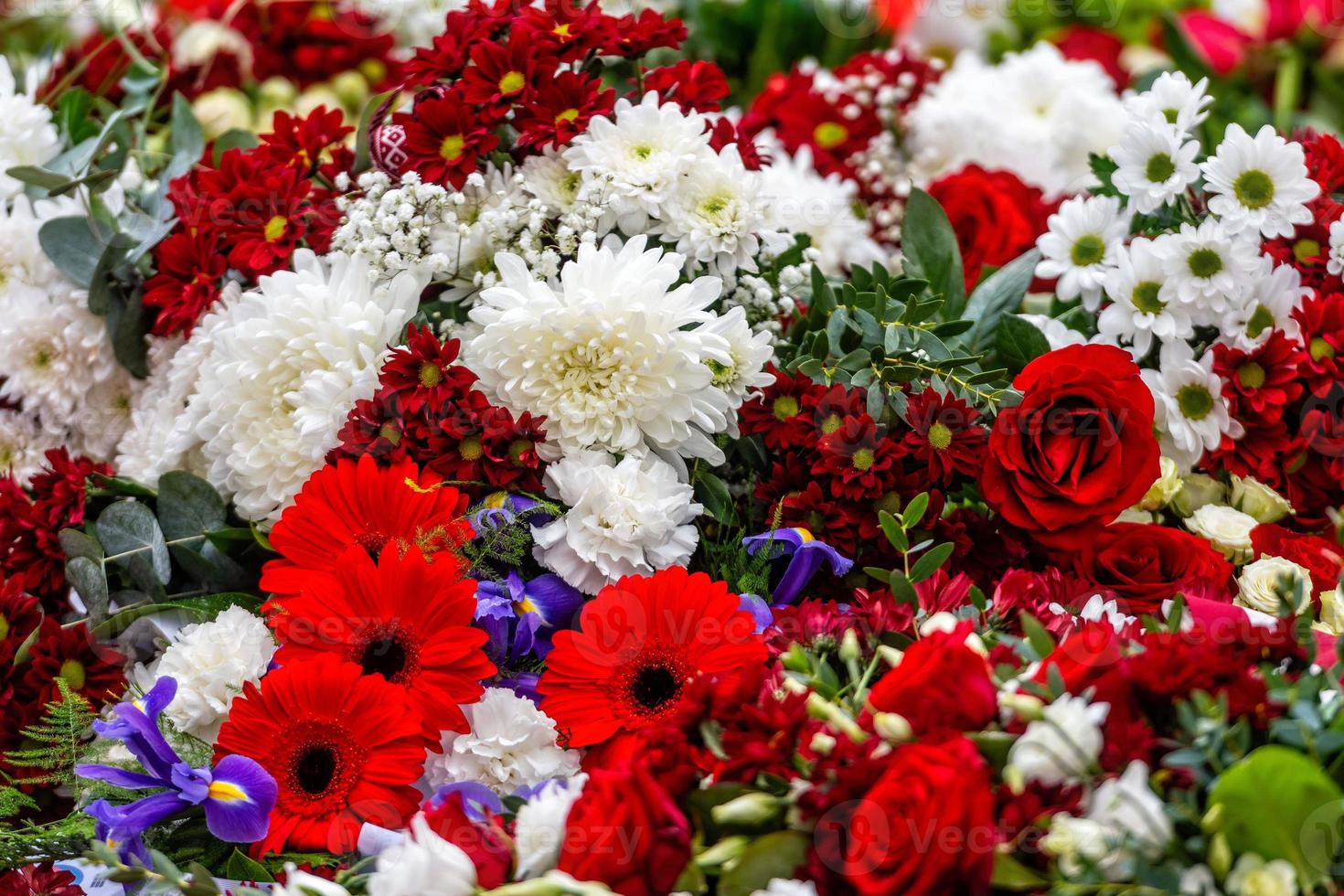 Flores colocadas irregularmente en varios colores, fondo floral multicolor - imagen foto