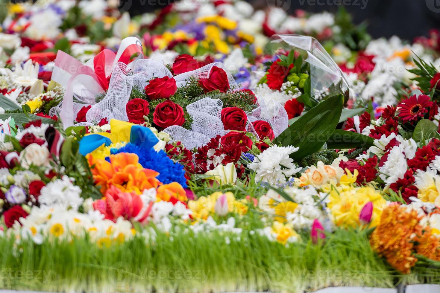 Flower bouquet with ribbon of Ukrainian flag. Dependence Day of the Ukraina - image photo