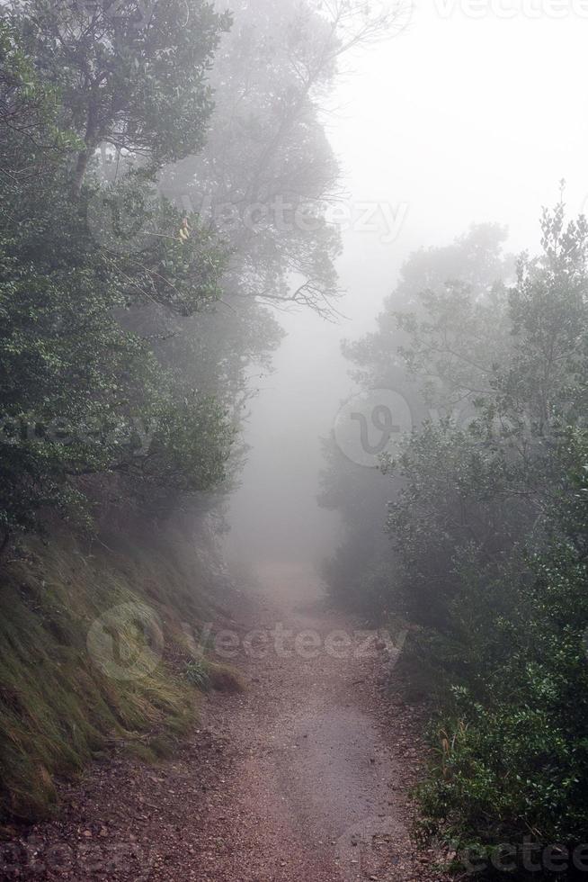 Morning fog in the mountains near Santa Maria de Montserrat monastery. Spain. photo