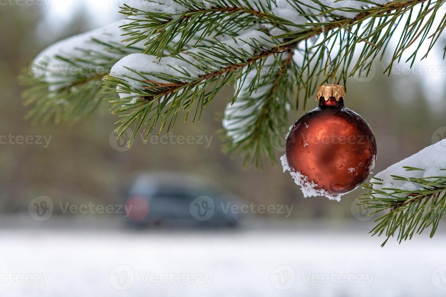 Bola de Navidad roja en la rama de abeto cubierto de nieve junto a la carretera. foto