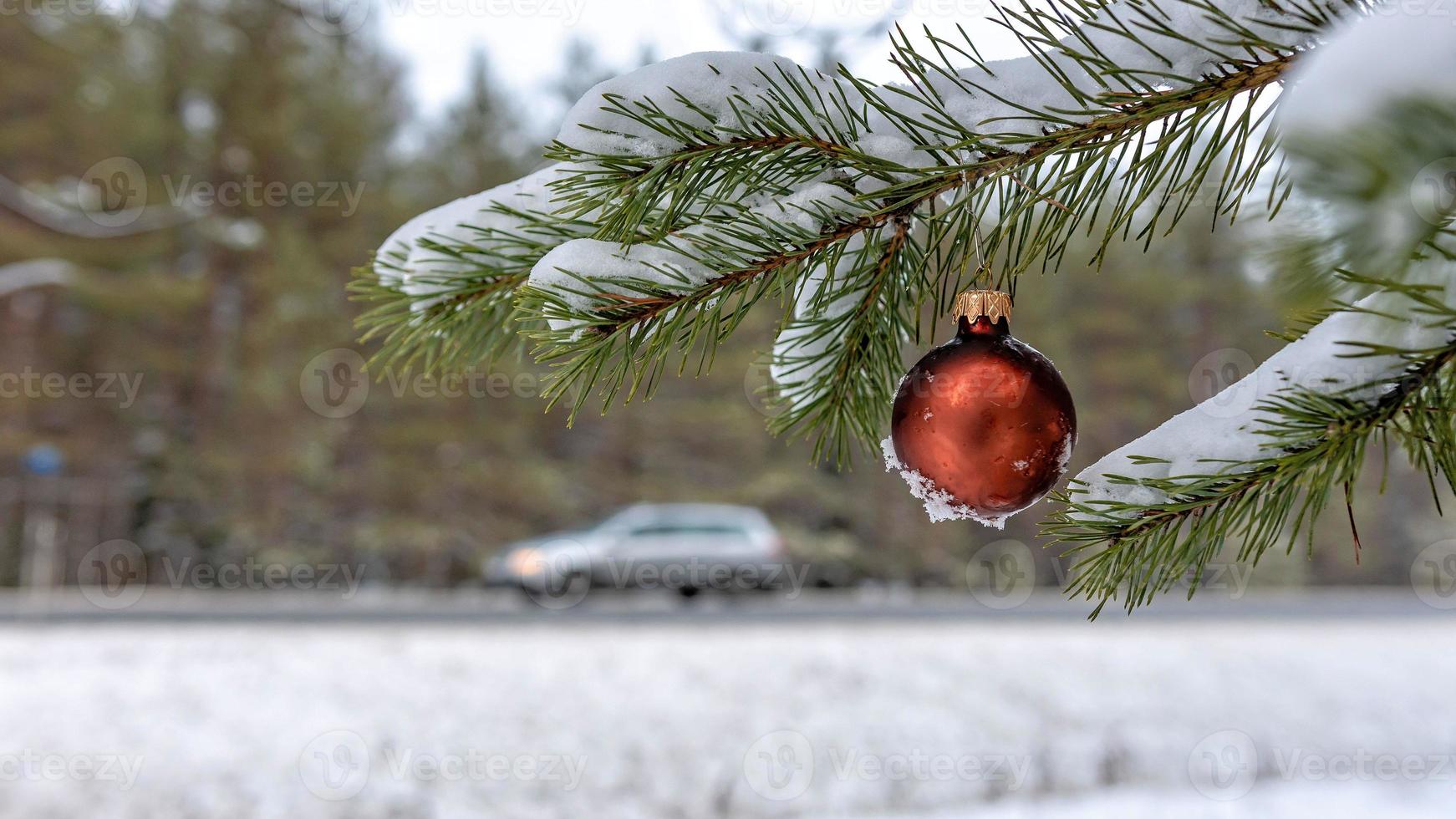 Bola de Navidad roja en la rama de abeto cubierto de nieve junto a la carretera. foto