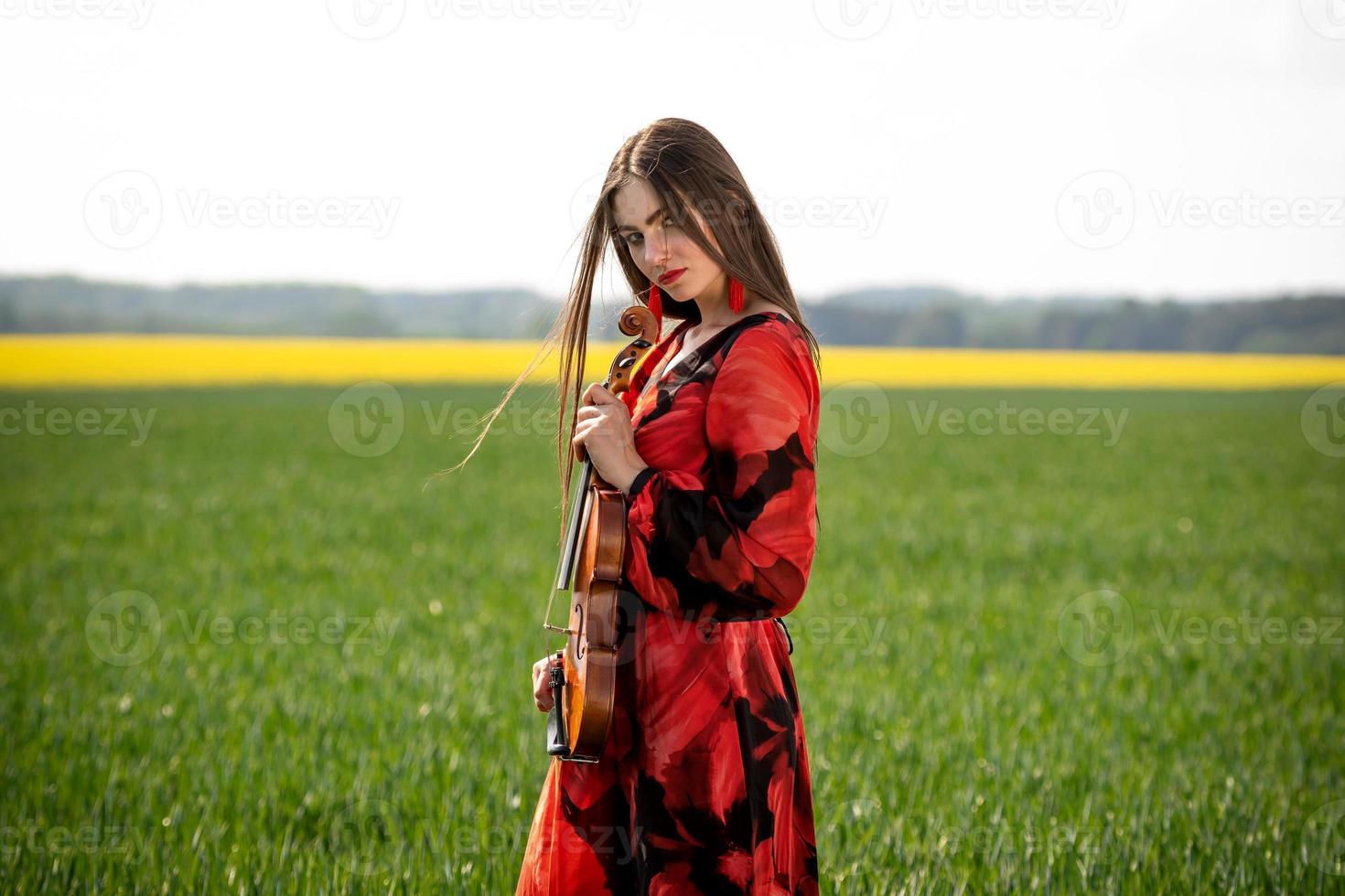 Young woman in red dress with violin in green meadow - image photo