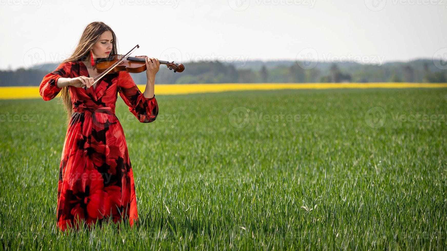 Young woman in red dress playing violin in green meadow - image photo