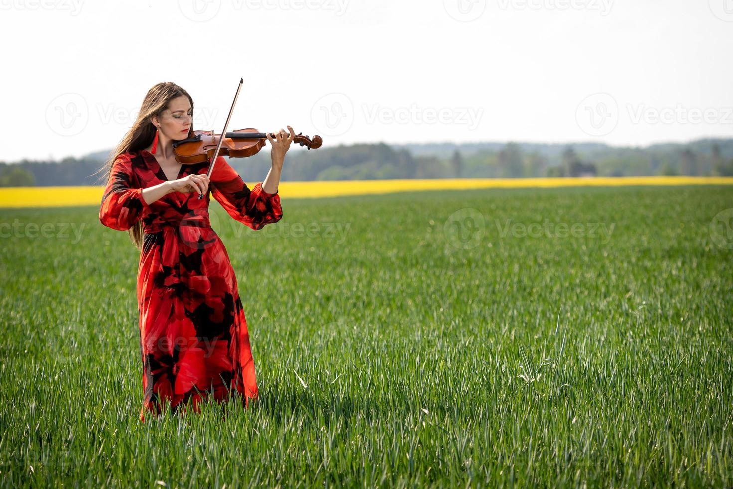 Young woman in red dress playing violin in green meadow - image photo