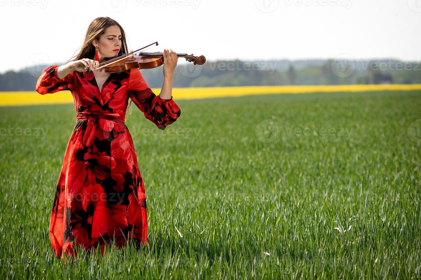 Young woman in red dress playing violin in green meadow - image photo