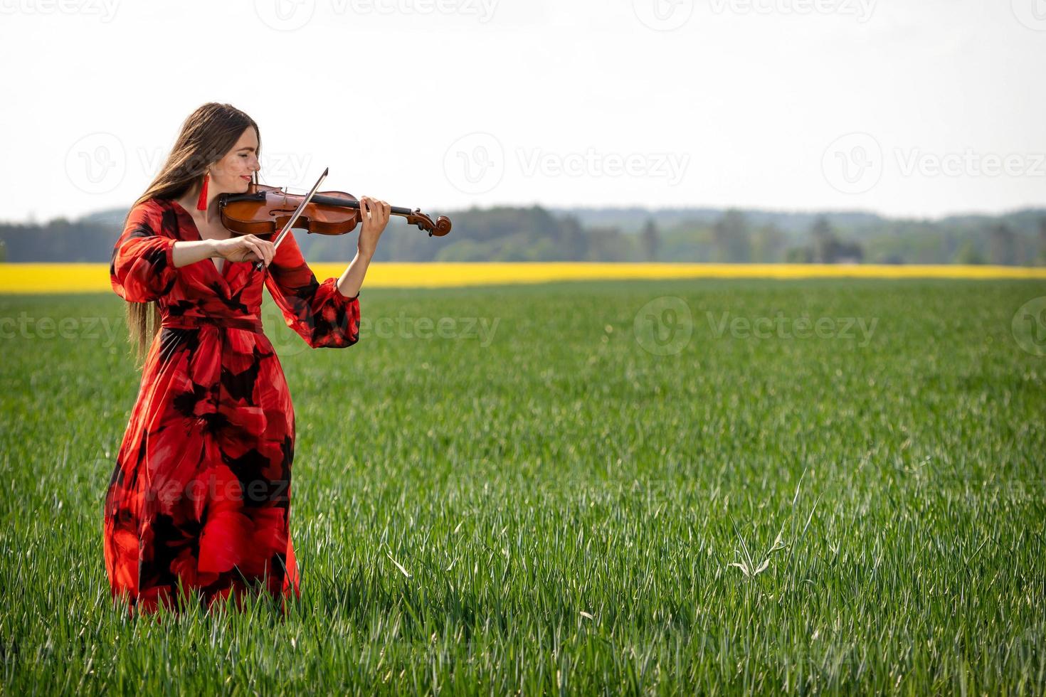 Young woman in red dress playing violin in green meadow - image photo