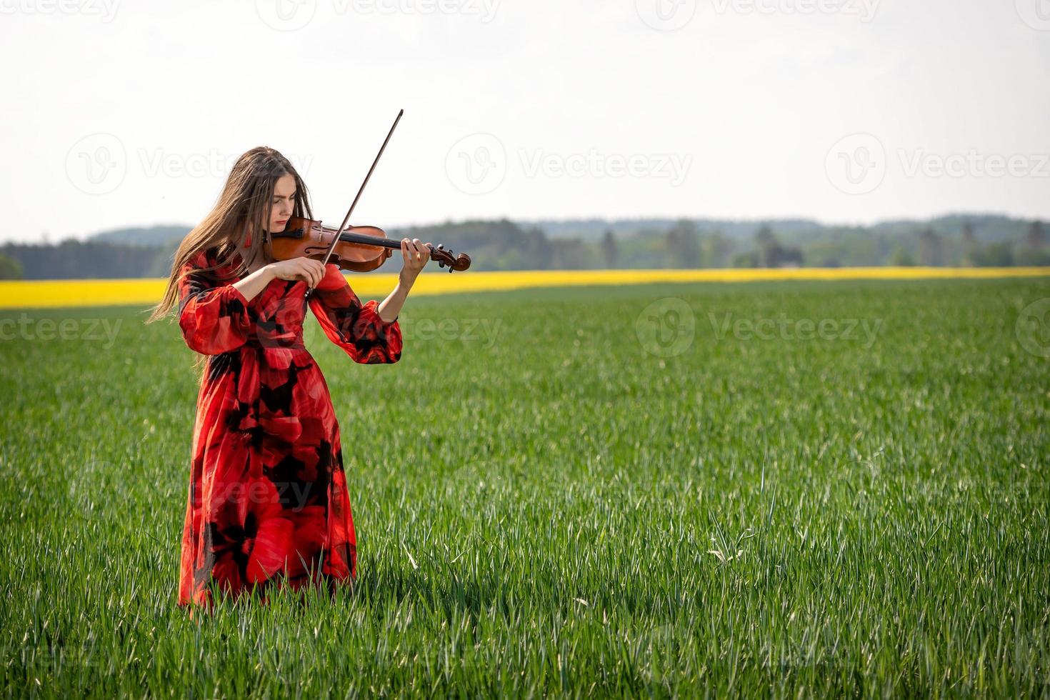 Young woman in red dress playing violin in green meadow - image photo