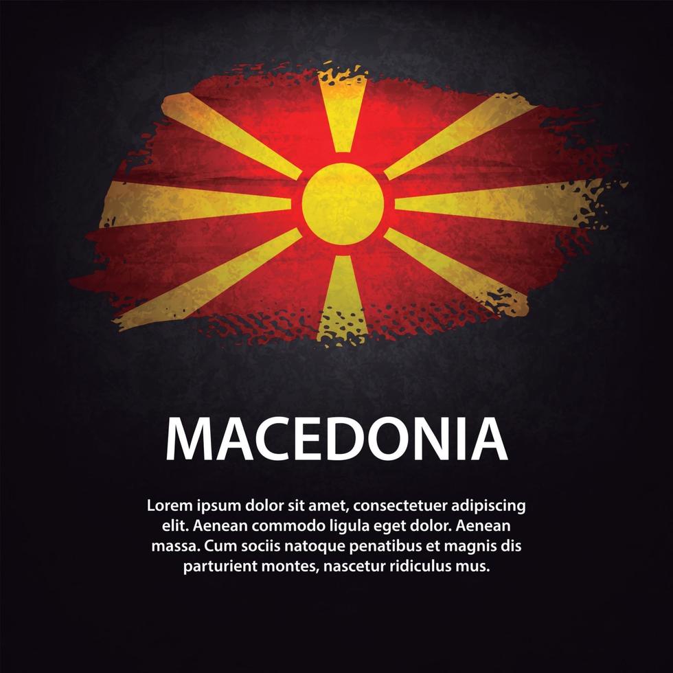 Macedonia flag brush vector