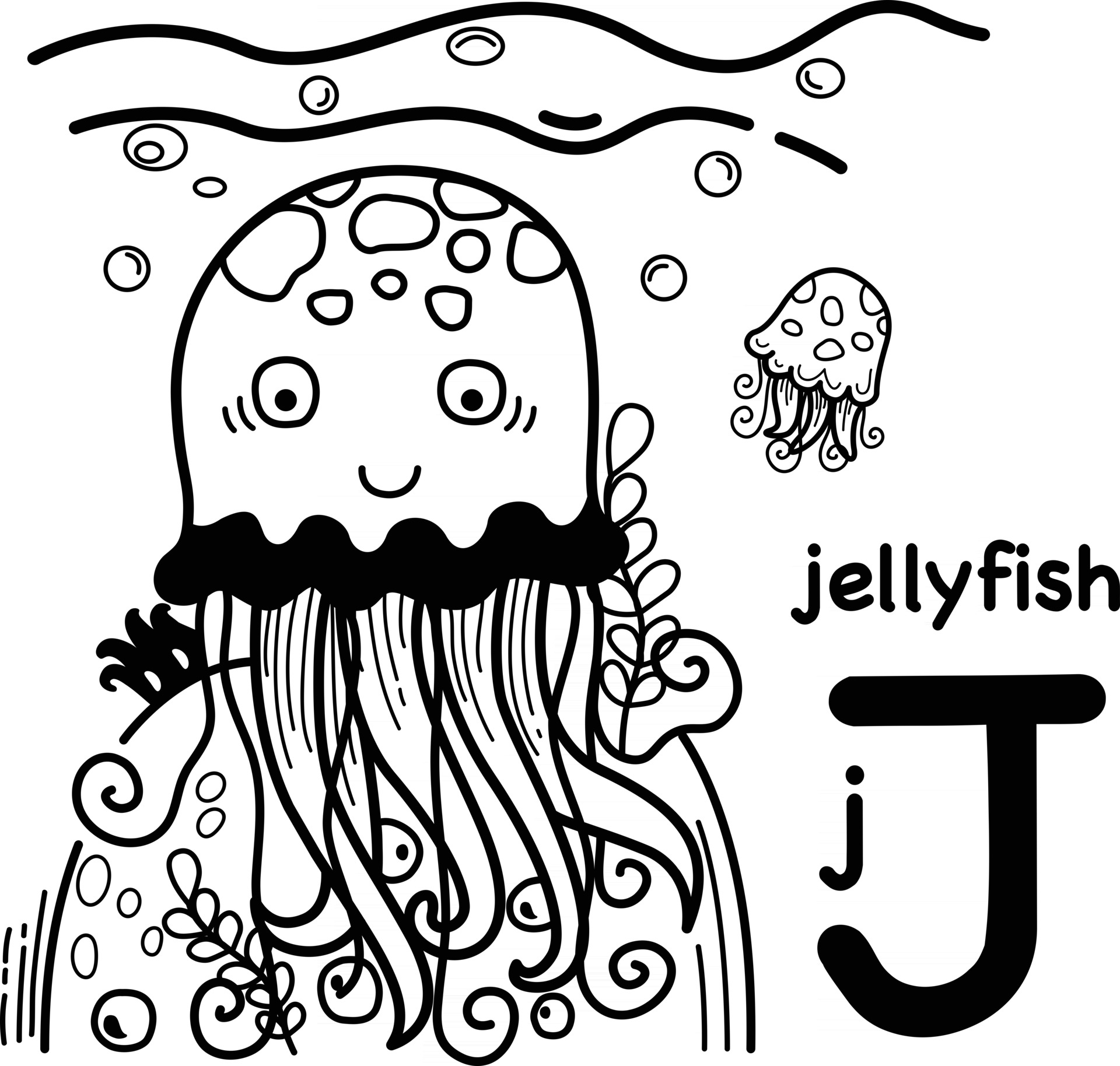 Letter j jellyfish. карточка для сольфеджио медуза. медуза по английски с транскрипцией. клетки медузы. медузы для детей с названиями карточки.