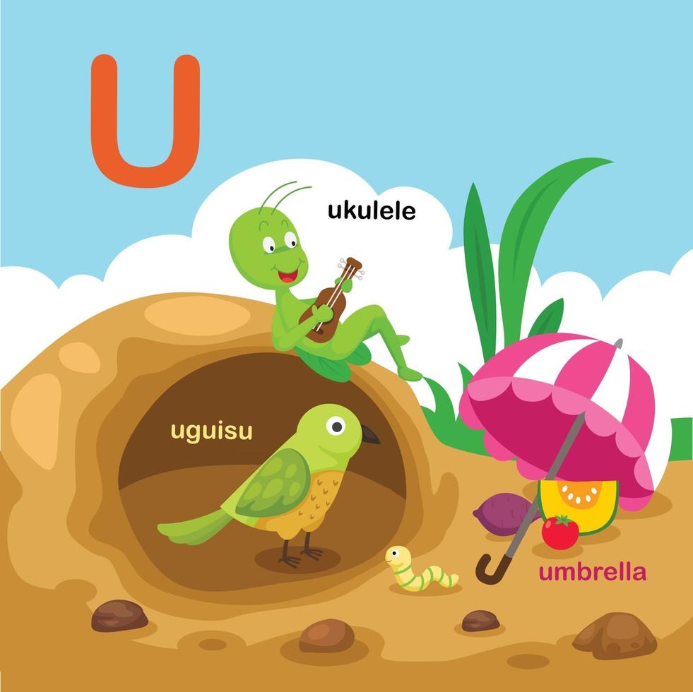 ilustración aislada alfabeto letra u-paraguas, uguisu, ukulele.vector vector