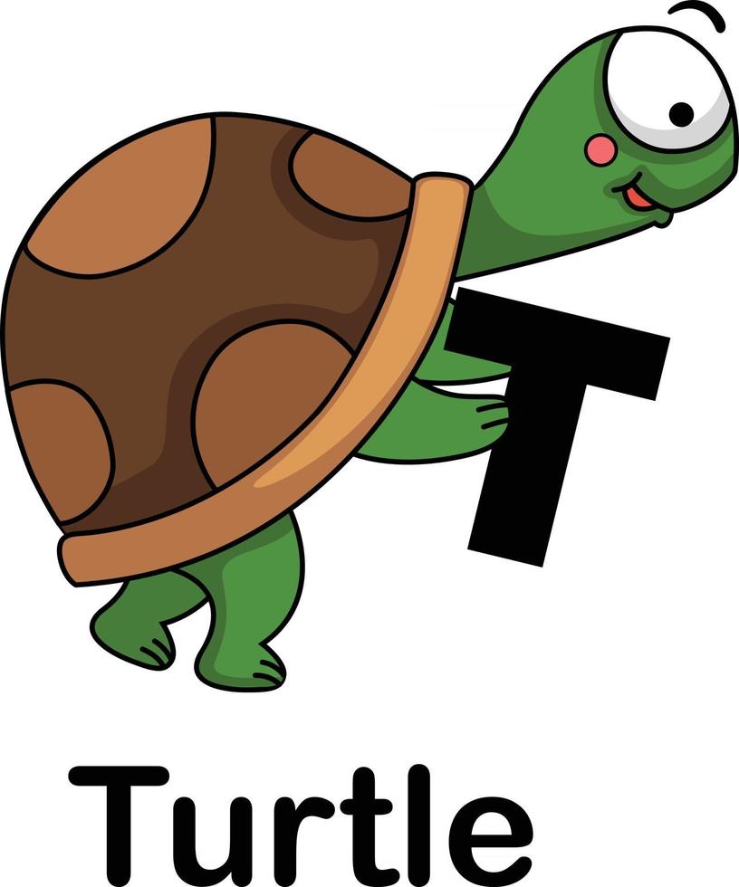 Alphabet Letter t-turtle vector illustration