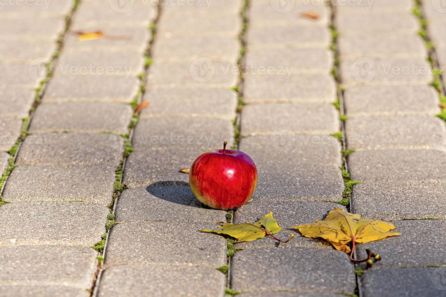 Red apple on the foothpath photo