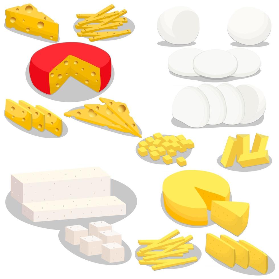 Illustration on theme big kit cheese dairy product, slices of different shapes vector