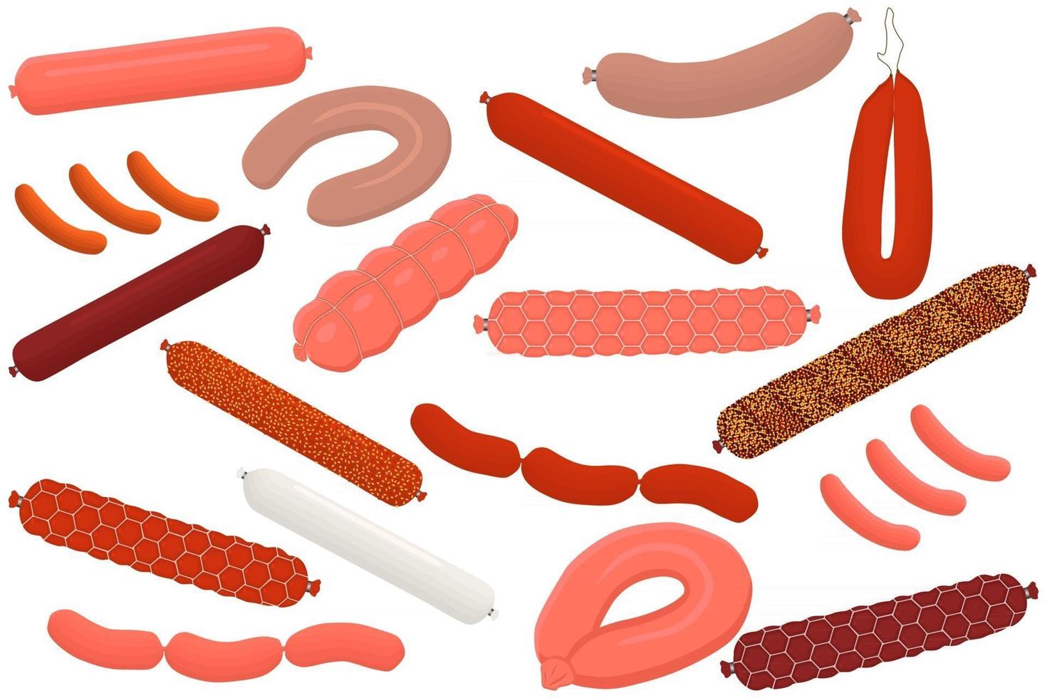 Illustration on theme big set different types delicatessen meat sausages vector
