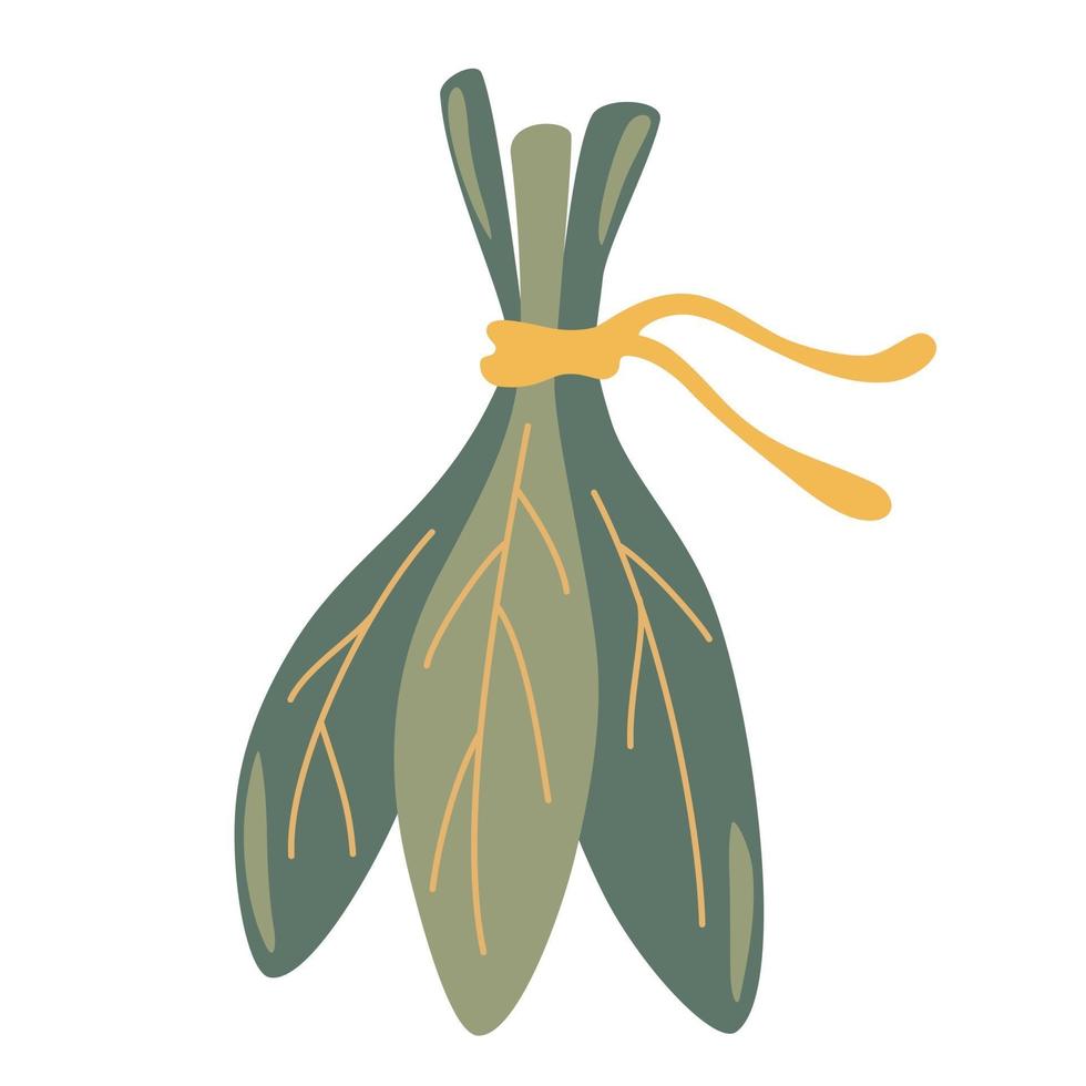 Bunch of fresh spinach. Fresh leaves bunch tied with a ribbon. Healthy diet, vegetarian food. Good to use for restaurant menu, Food recipe book and food ingredients content. Vector illustration.