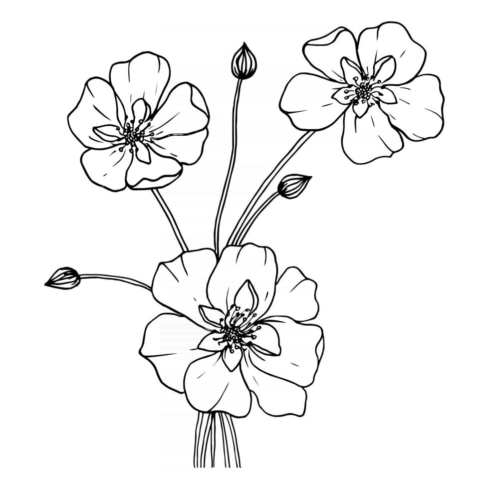 dibujo lineal, hermosas flores sobre fondo blanco. fondo natural moderno. Impresión de dibujo minimalista, creativo con ilustración en diseño plano. vector