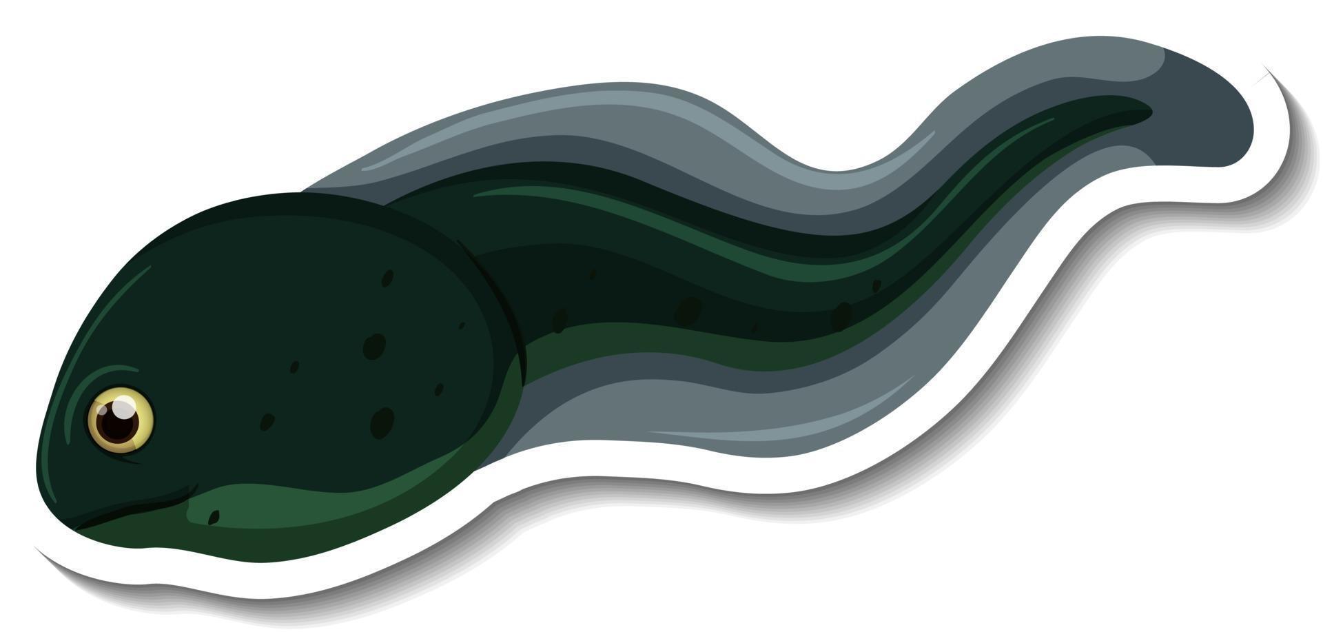 A sticker template with a tadpole isolated vector