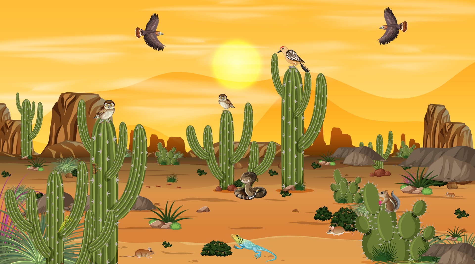 Desert forest landscape at sunset scene with desert animals and plants  2896249 Vector Art at Vecteezy