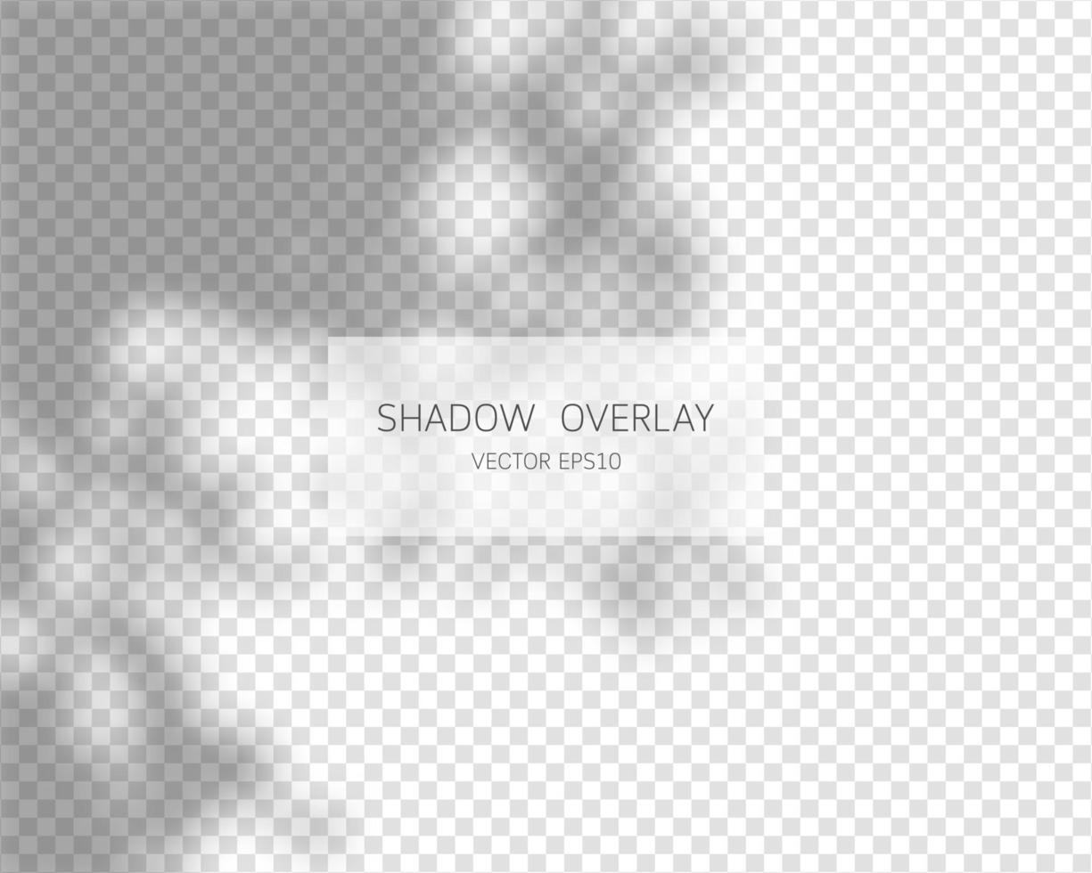 Shadow overlay effect. Natural shadows isolated on transparent background. Vector illustration.