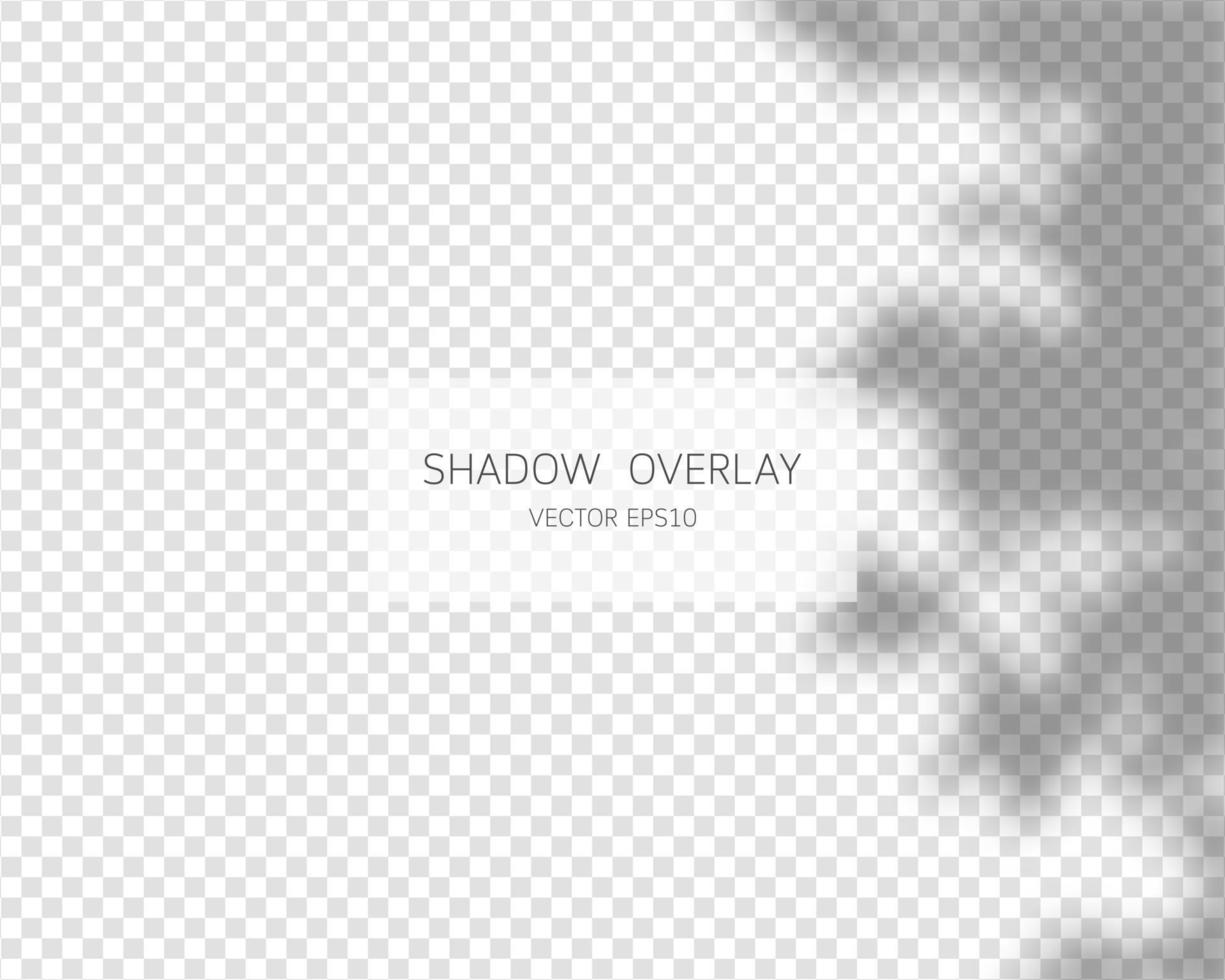 Shadow overlay effect. Natural shadows isolated on transparent background. Vector illustration.