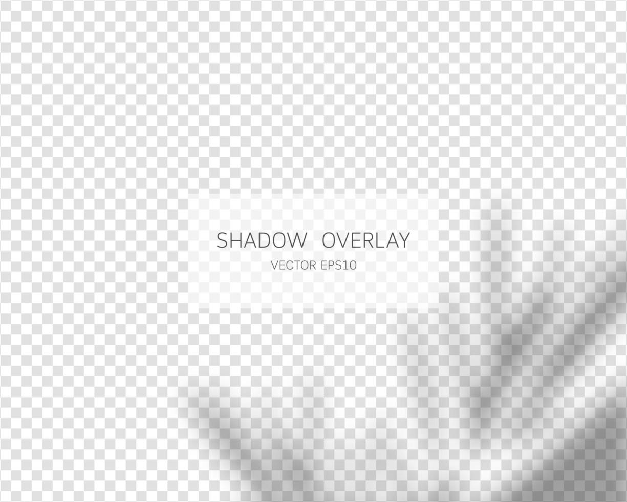 Shadow overlay effect. Natural shadows isolated on transparent background. Vector illustration.