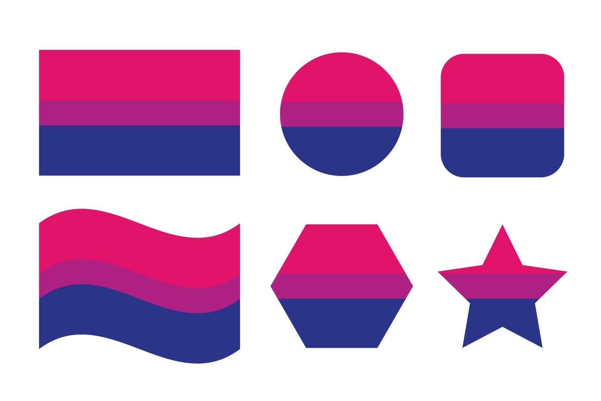 Bisexual pride flag Sexual identity pride flag 2897614 Vector Art at ...