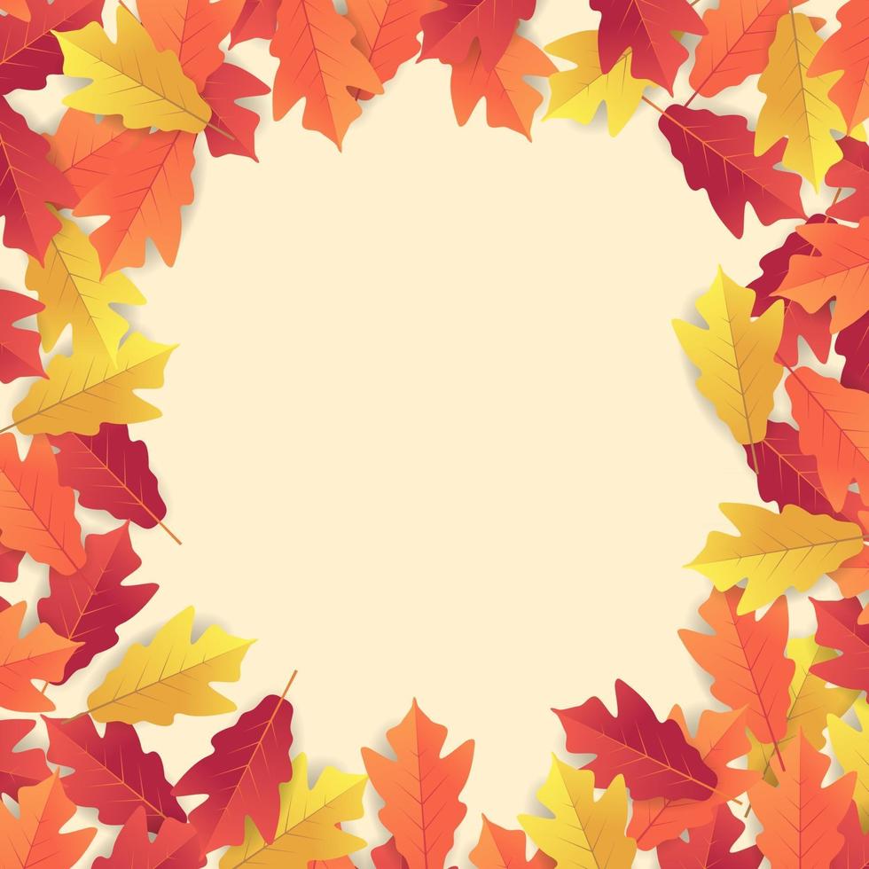 Colorful autumn leaves background. vector