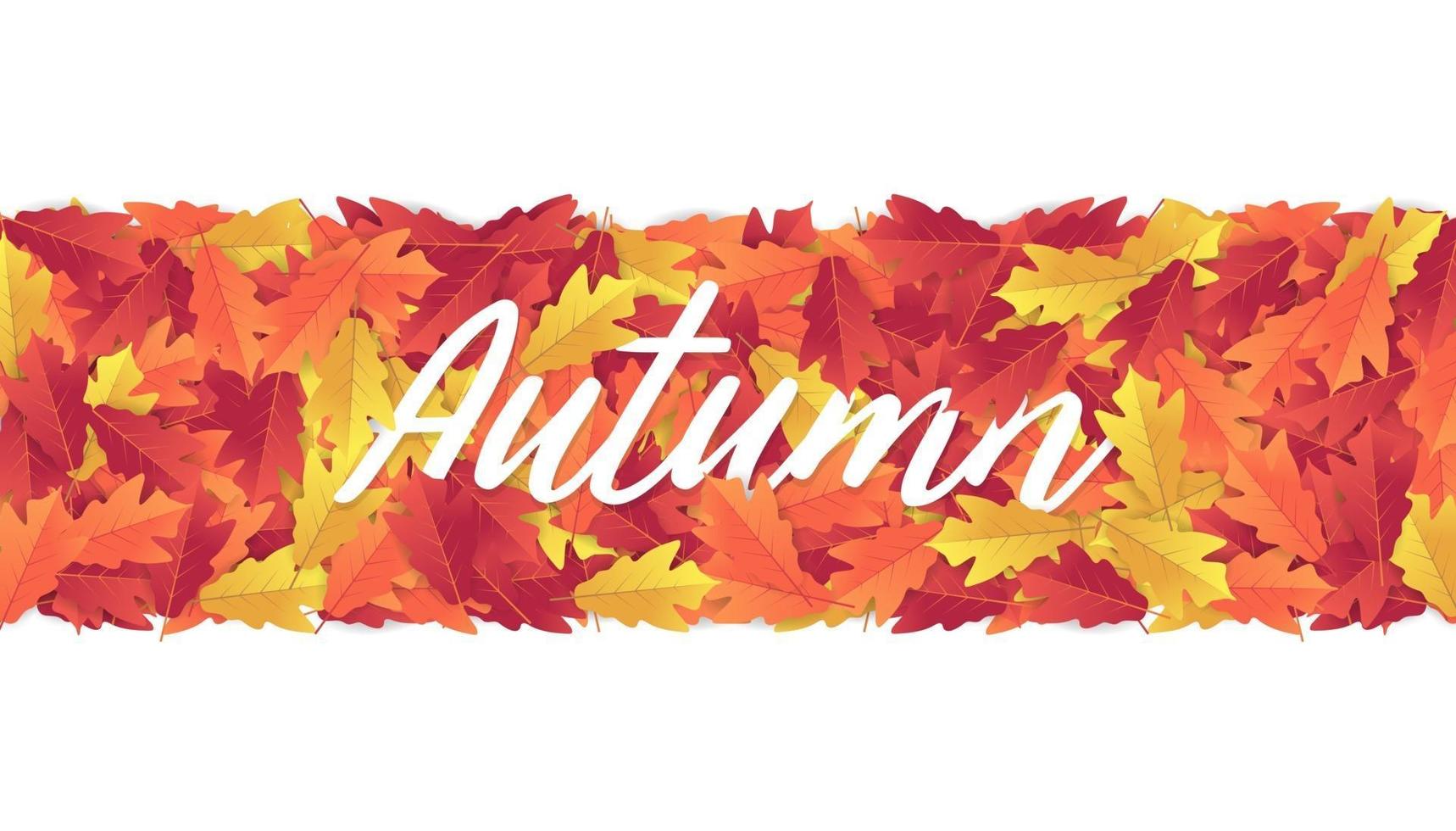 Colorful autumn leaves banner background. vector