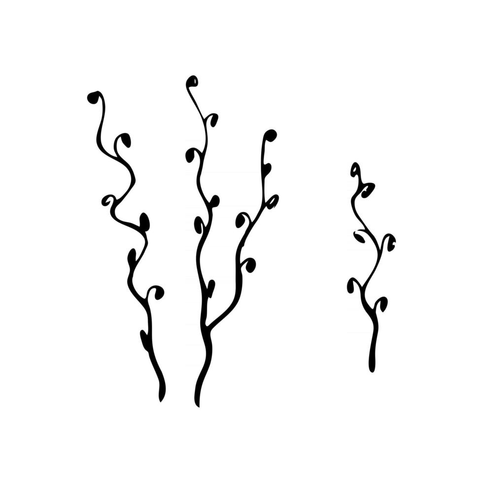 decorative twig on a white background vector