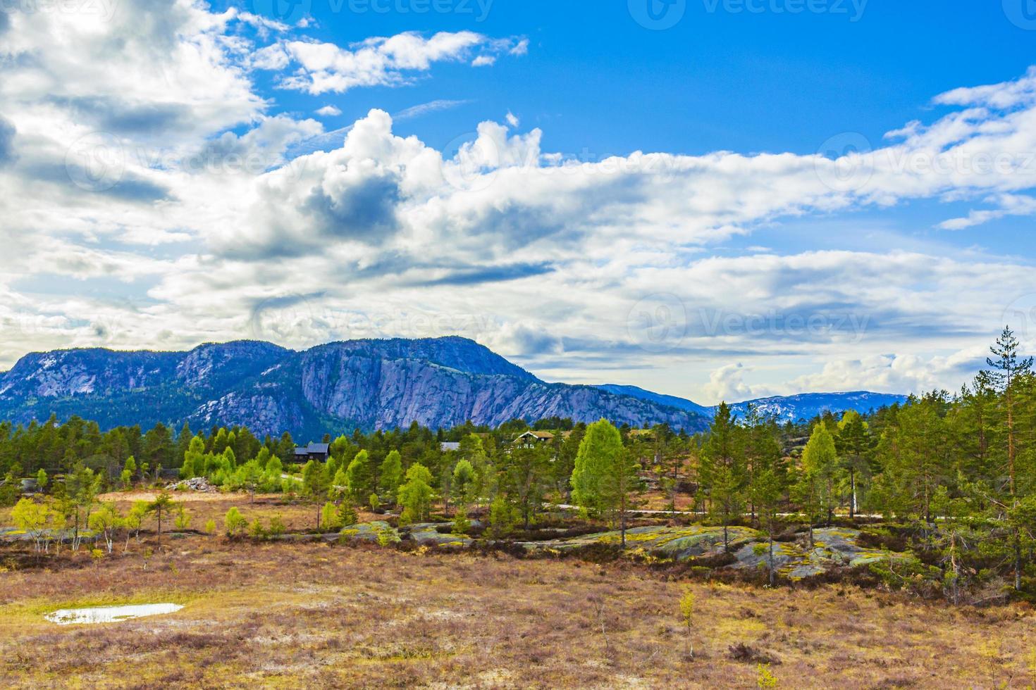 panorama con abetos cabañas y montañas naturaleza paisaje nissedal noruega. foto