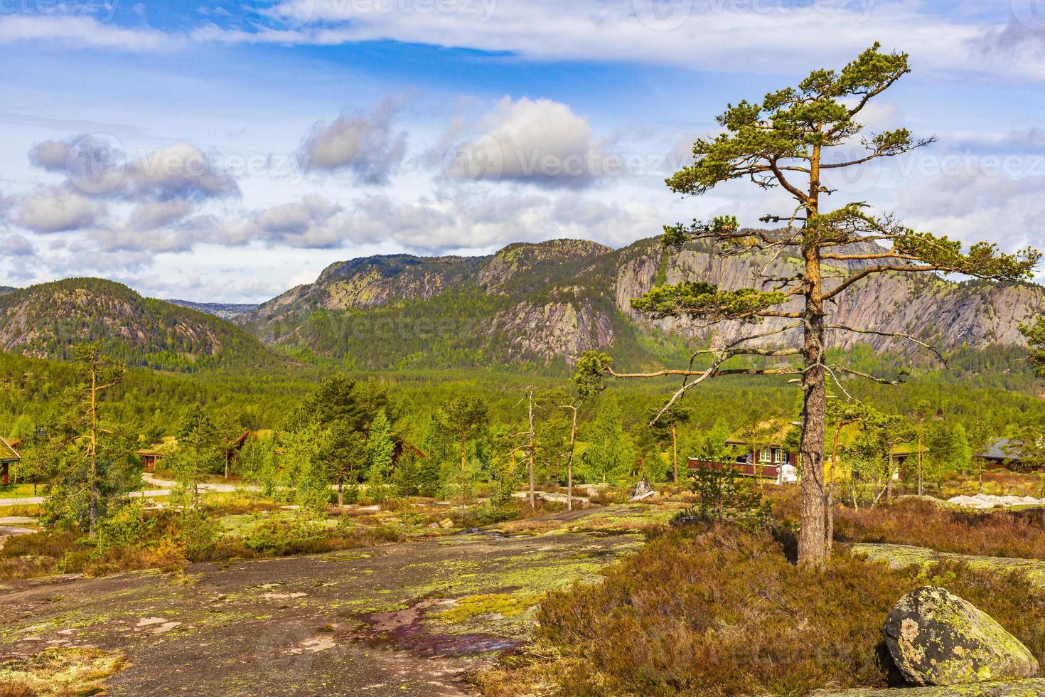 Panorama with fir trees and mountains nature landscape Nissedal Norway. photo