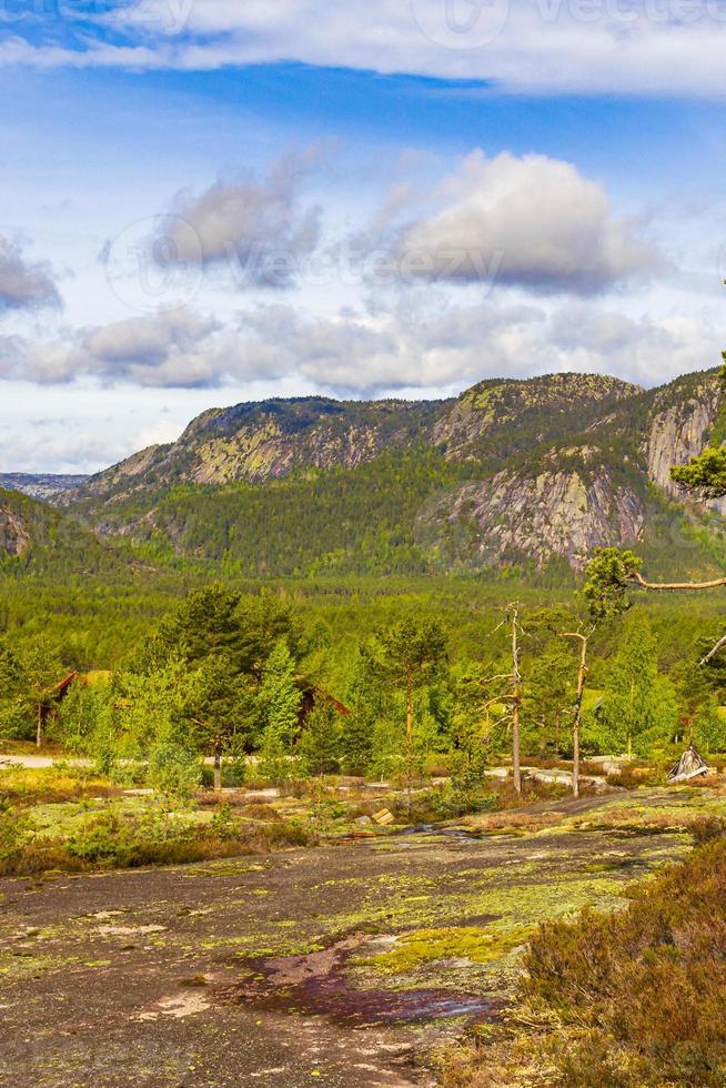 Panorama with fir trees and mountains nature landscape Nissedal Norway. photo