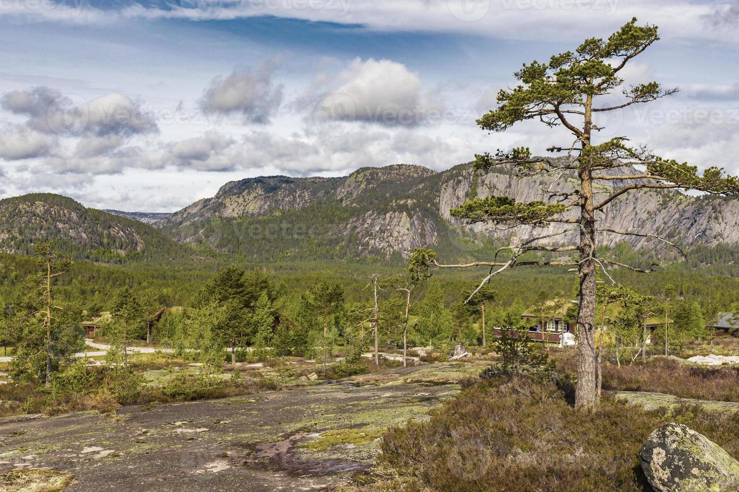 Panorama with fir trees and mountains nature landscape Nissedal Norway. photo