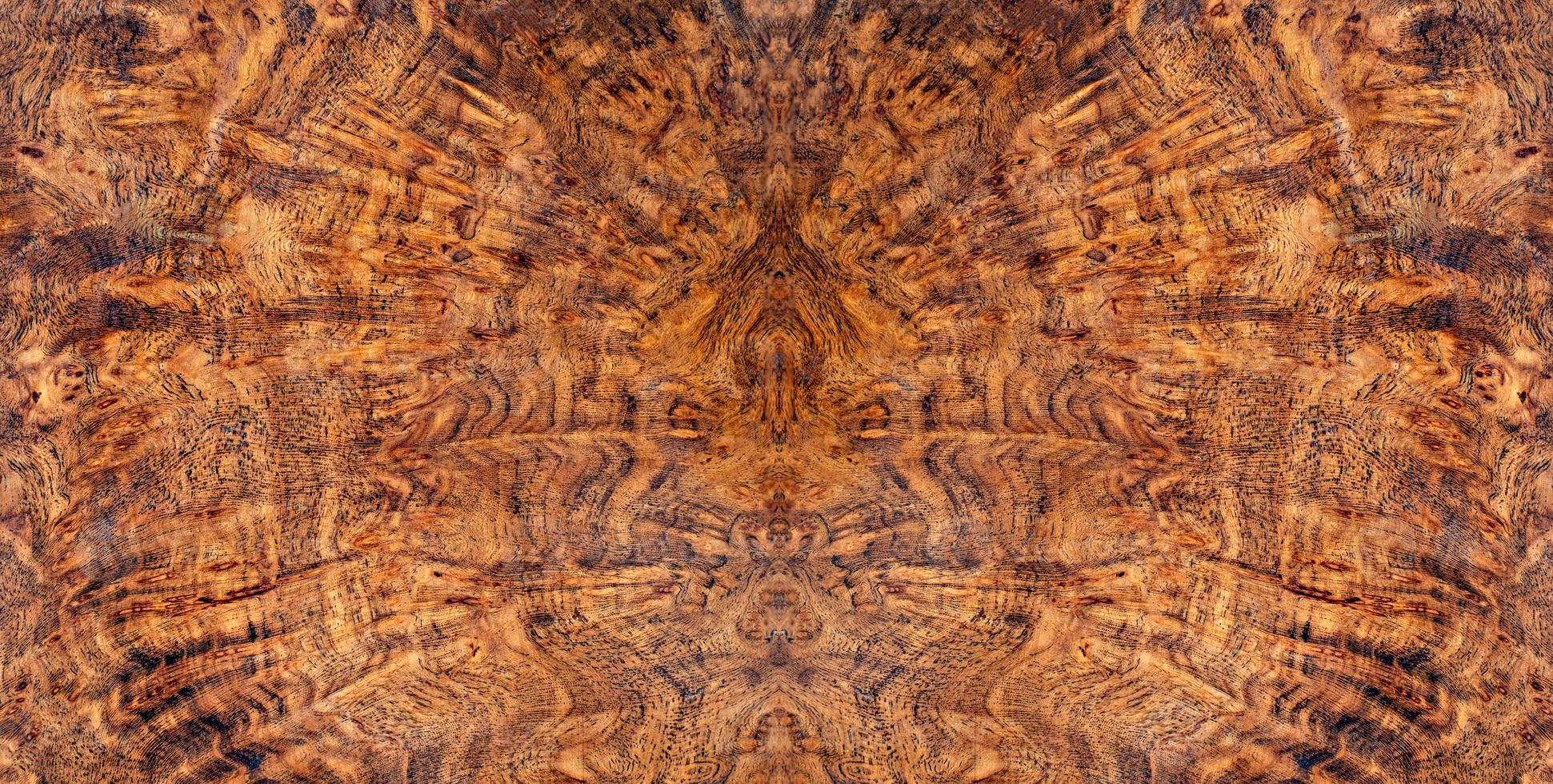madera de burl de la naturaleza foto