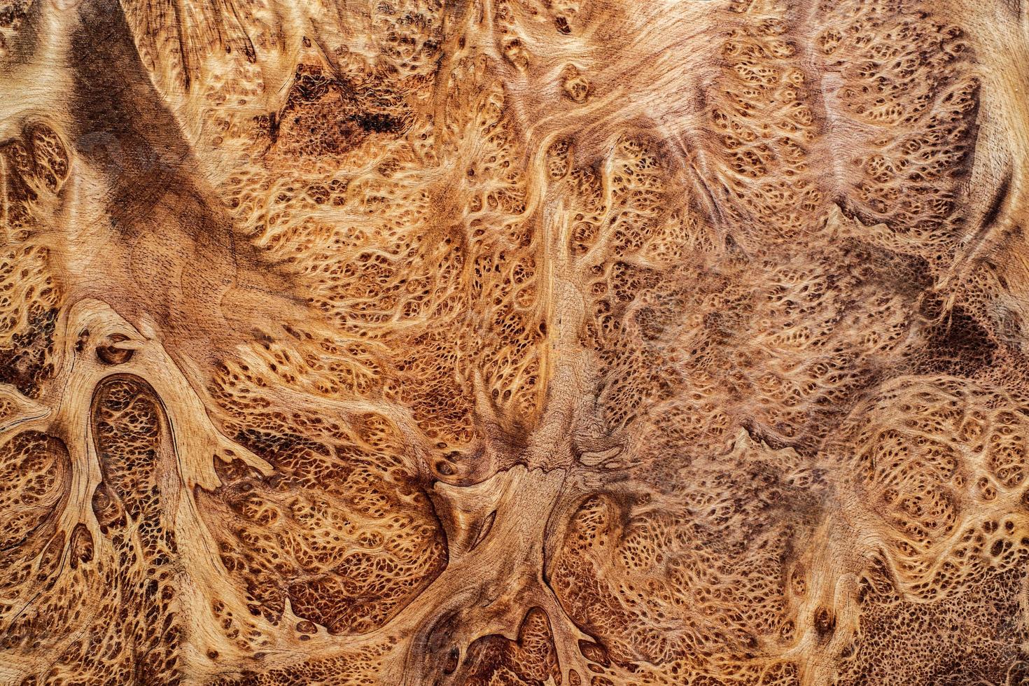 naturaleza salao burl madera a rayas, exótico hermoso patrón de madera para manualidades o textura de fondo de arte abstracto foto