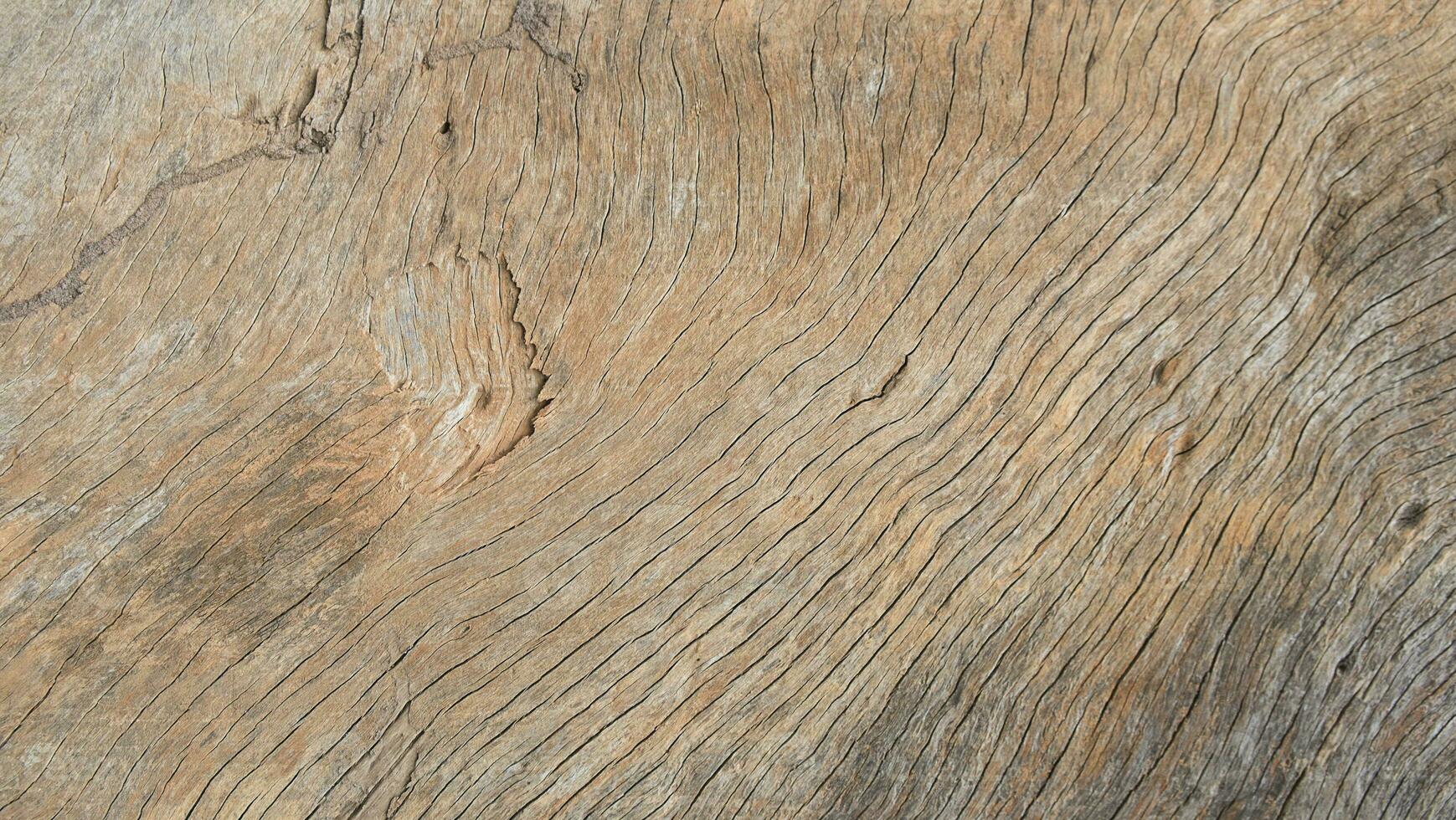 Old wood color background texture photo
