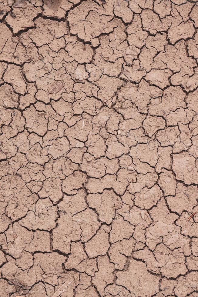 dessert soil background, climate change, global warming photo