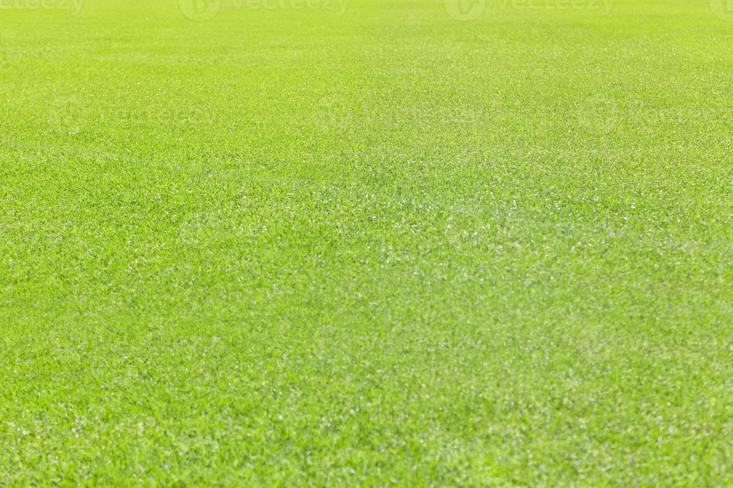 fondo de textura de hierba verde foto