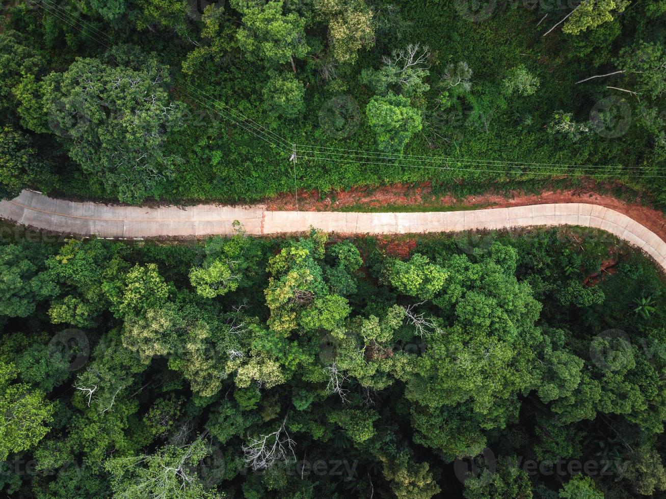 bosque verde en los trópicos desde arriba foto