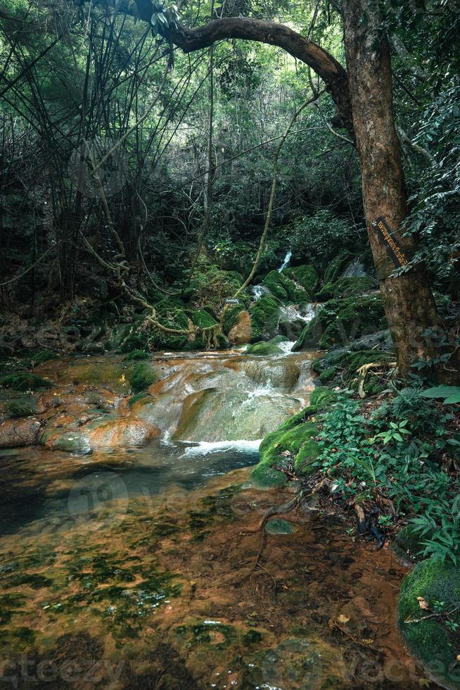 Waterfall and moss in tropical nature photo