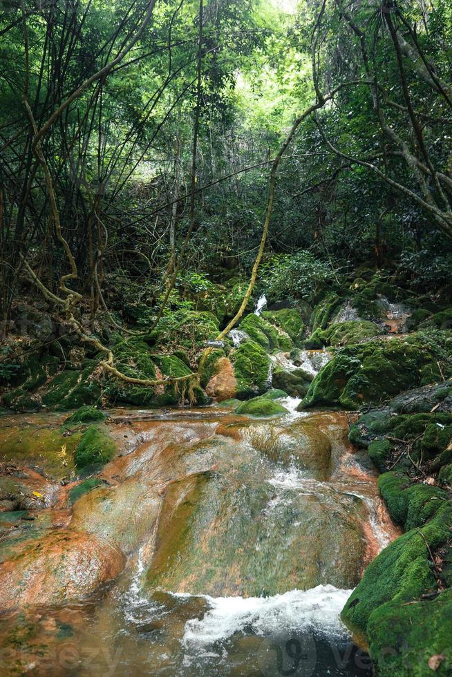 Waterfall and moss in tropical nature photo