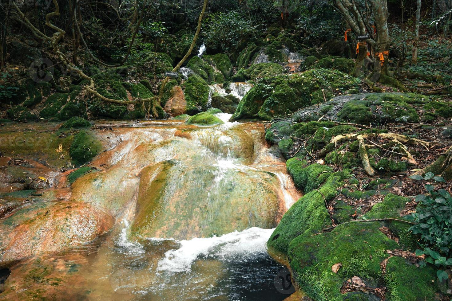 Waterfall and moss in tropical nature photo