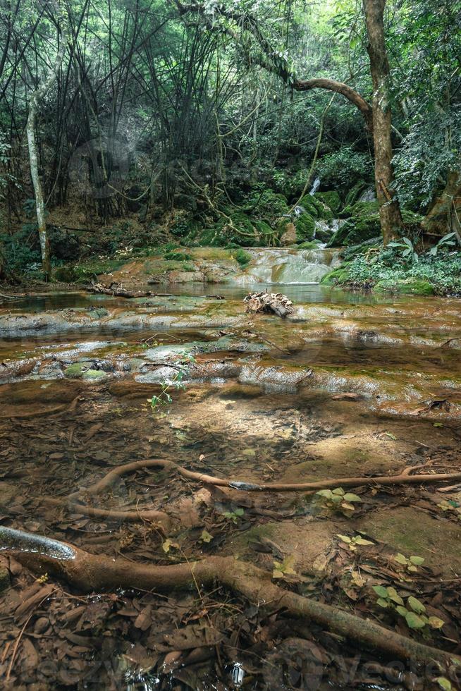 Waterfall and moss in tropical nature photo